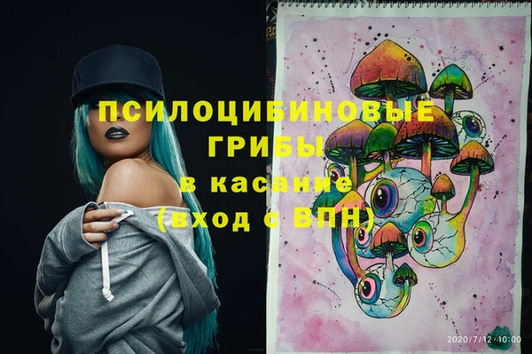 MDMA Premium VHQ Гусиноозёрск