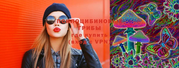 PSILOCYBIN Гусь-Хрустальный